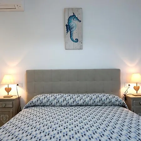 Guest house Il Cavalluccio Marino 3*