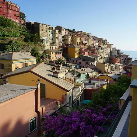 Il Cavalluccio Marino Guest house