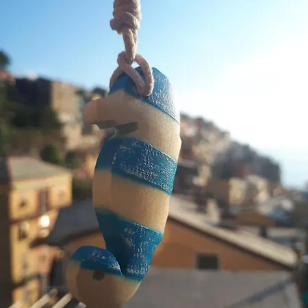 Il Cavalluccio Marino 3*