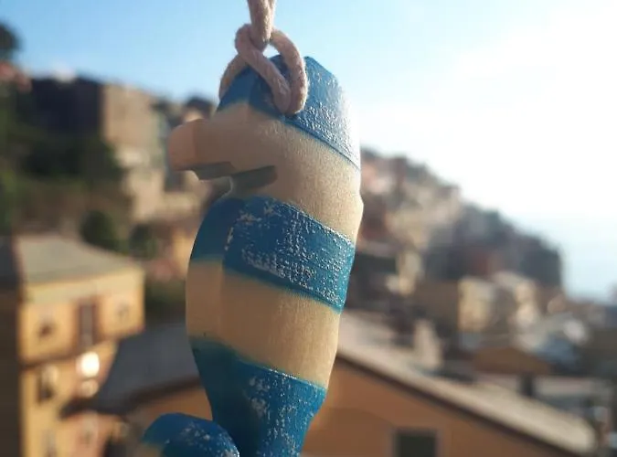 Il Cavalluccio Marino 3*